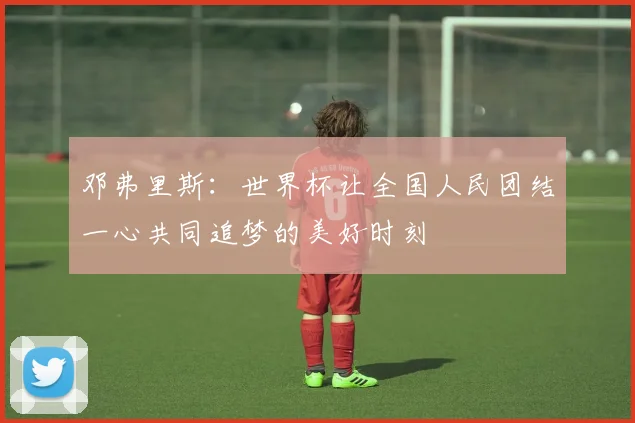 邓弗里斯：世界杯让全国人民团结一心共同追梦的美好时刻